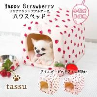  tassu åۥϥ٥å ץȥ֥륬