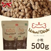 ڥեWANDISHʥǥå γ 500
