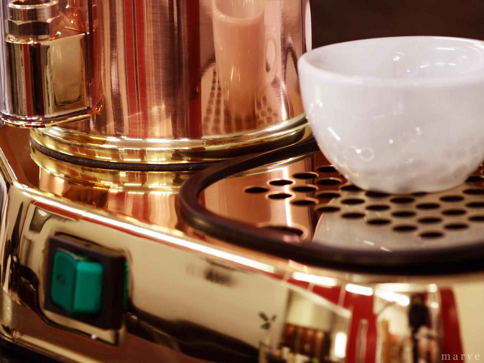 la Pavoni ラ・パボーニ ”PROFESSIONAL” PRG 銅＆24金ボディ