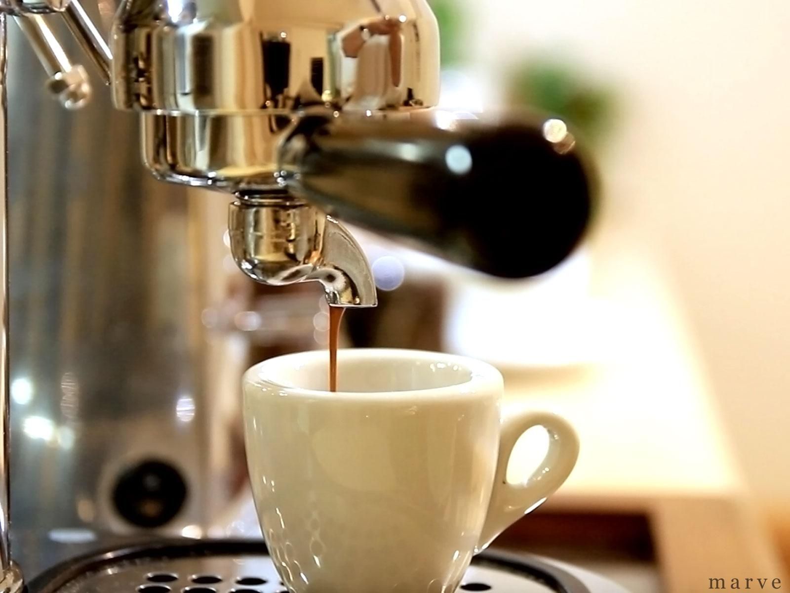 La Pavoni 専用 シングル ビーク - mp COFFee GEAR ONLINE SHOP La Pavoni 専用 シングル ビーク - mp COFFee GEAR ONLINE SHOP