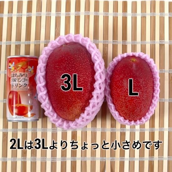 A品 宮崎産完熟マンゴー L 2玉 パック A品 宮崎産完熟マンゴー L 2玉 パック