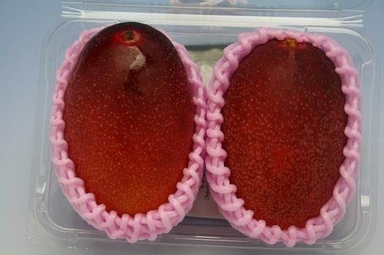 宮崎県産 完熟マンゴー 8kg (パック詰) 宮崎県産 完熟マンゴー 8kg (パック詰)