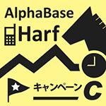 <img class='new_mark_img1' src='https://img.shop-pro.jp/img/new/icons16.gif' style='border:none;display:inline;margin:0px;padding:0px;width:auto;' />HALF*プランC(秋のG1キャンペーン)の商品画像