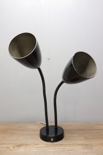 Flexible Double Shade Lamp