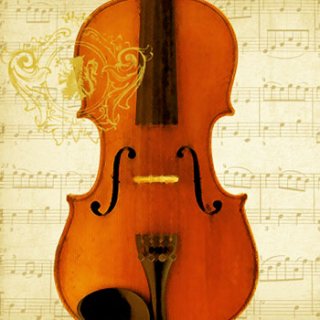 ペーパーナプキン（33)ppd：（5枚）Concerto Violino-PP140