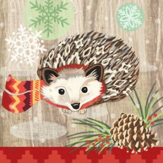 ڡѡʥץ33)ppd5Hedgehog with Scarf-PP214