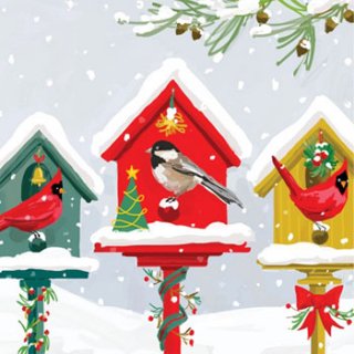 ڡѡʥץ33)ppd5Holiday Birdhouses-PP223