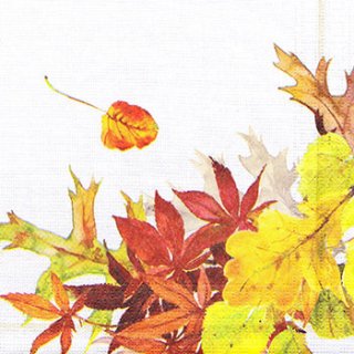ペーパーナプキン（33)ppd：（5枚）Garden Autumn-PP244