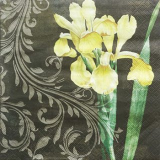 ペーパーナプキン（33)ti-flair：（5枚）Iris amarillo black-Ti59