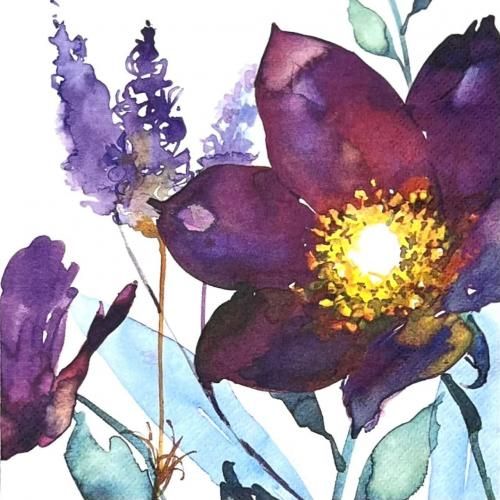 ڡѡʥץ33ti-flair5Flor de Ciruela - Ti88