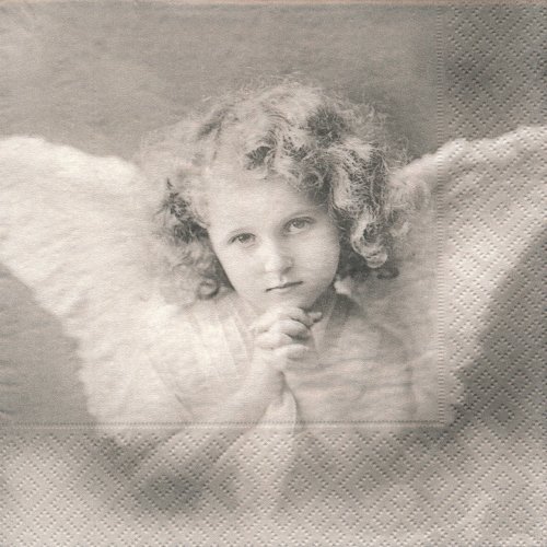 ペーパーナプキン（33)Sagen：（5枚）【s-19】Sweet angels