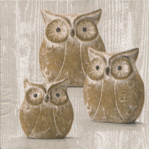 ڡѡʥץ33AMB5OWL TRIO-AM201