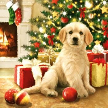 クリスマス 犬のペーパーナプキン Rose Rose Rose ペーパーナプキン3000種以上常備5枚 実店舗有 デコパージュ用紙多数品揃 クリスマス 犬のペーパーナプキン Rose Rose Rose ペーパーナプキン3000種以上常備5枚 実店舗有 デコパージュ用紙多数品揃