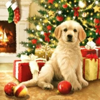 ペーパーナプキン（33）AMB：（5枚）WAITING FOR PRESENTS（犬）-AM228
