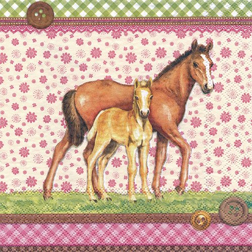 ڡѡʥץ33AMB5SIGNED HORSES-AM388