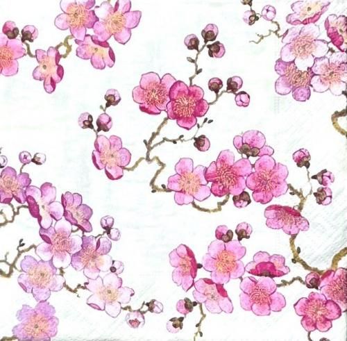 ペーパーナプキン（33）caspari：（5枚）梅（パールホワイト）- CA28