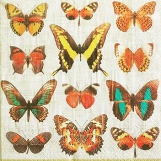 ペーパーナプキン（33）caspari：（5枚）Deyrolle Butterflies ivory-CA83