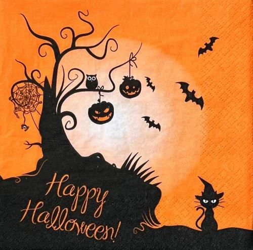 ڡѡʥץ33home5HALLOWEEN - HO167