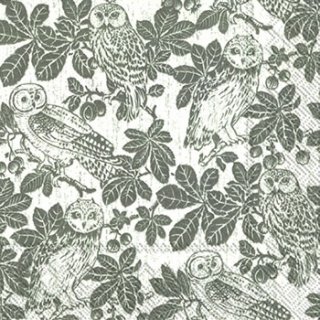 ڡѡʥץ33)IHR5OWLS AND BRANCHES grey-IH268