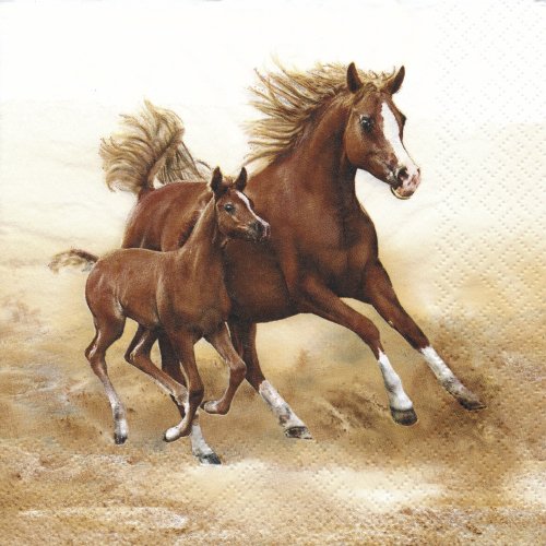 ڡѡʥץ33)Maki5Mare with Foal -MA126