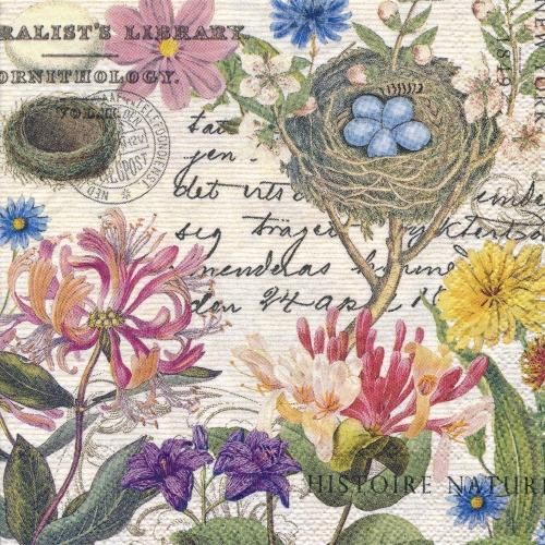 ミシェルデザインワークス　モノトーンセット ミシェルデザインワークスモノトーンセット