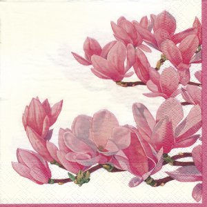 ペーパーナプキン（33)NOUVEAU：（5枚）Magnolia（クリーム）-NO34