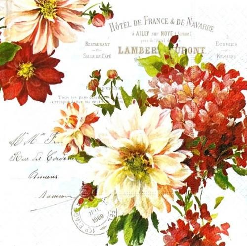 ڡѡʥץ33Nuova5SEASON FLOWERS - NU96