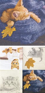 ペーパーナプキン（25)paper：（5枚）Autumn cats-PA20（25）