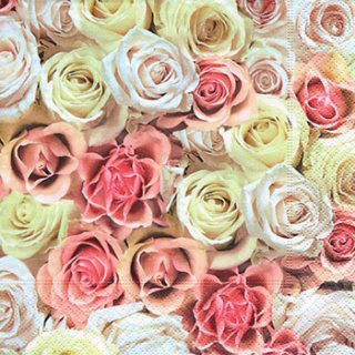 ڡѡʥץ33)paper5Festive roses-PA252