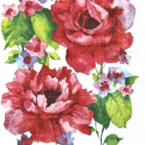 ڡѡʥץ33)paw5Watercolor Roses-PW121