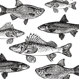 ペーパーナプキン（33)ppd：（5枚）Graphic Fishes（ホワイト・ブラック）-PP50
