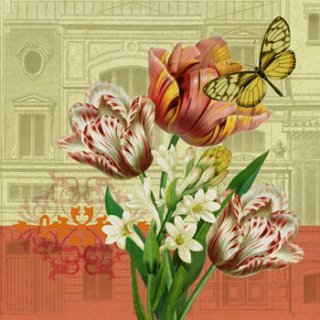 ڡѡʥץ33)ppd5Tulip Landscape-PP79