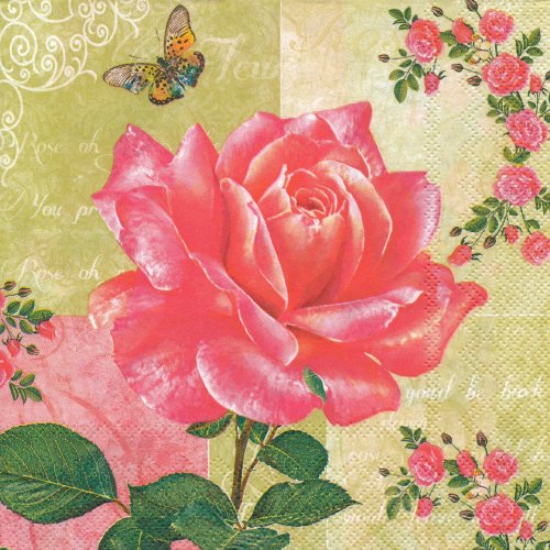 ڡѡʥץ33)Maki5Rose-MA160