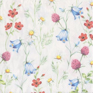 ڡѡʥץ33AMB5Mixed Wild Flowers White-AM571