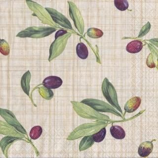 ڡѡʥץ33caspari5Olive Grove Natural-CA104