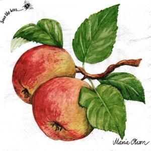 ペーパーナプキン（33)paper duni：（5枚）Apple-PA332