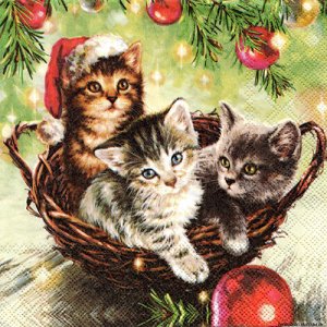 ڡѡʥץ33AMB5CATS IN BASKET-AM656