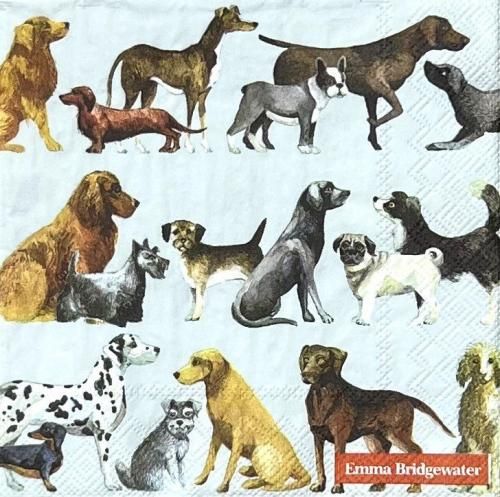 ڡѡʥץ33IHR5DOGS light blueʥޡ֥å - IH475