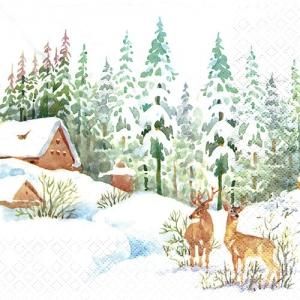 ڡѡʥץ33home5Winter Scene-HO238