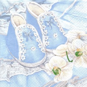 ڡѡʥץ33)Maki5CHRISTENING SHOES ֥롼-MA176