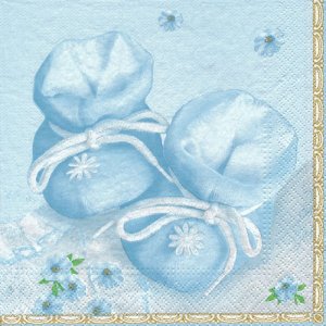 ڡѡʥץ33)Maki5Little Blue Shoes-MA178