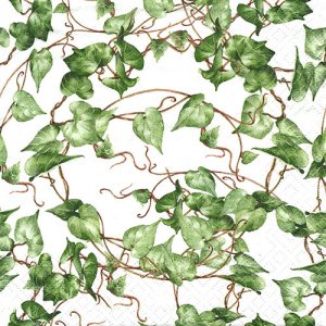 ペーパーナプキン（33)ti-flair：（5枚）Green Ivy Branches-TI143