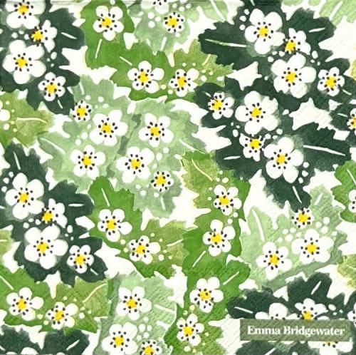 ڡѡʥץ33IHR5HAWTHORN creamʥޡ֥å- IH561