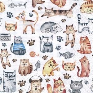<img class='new_mark_img1' src='https://img.shop-pro.jp/img/new/icons53.gif' style='border:none;display:inline;margin:0px;padding:0px;width:auto;' />ڡѡʥץ33)ti-flair5Pet Cats - Ti144
