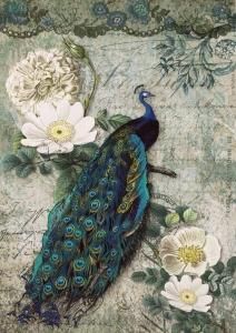 A4Decoupage Queen 饤ڡѡDQRP_0117
