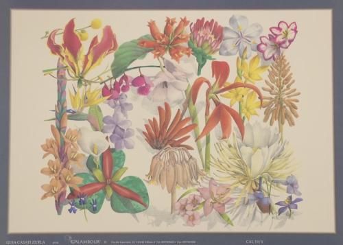 デコパージュ　肖像画 道化師ディエゴ・デ・アセドの肖像は、いとこと言う。ディエゴ