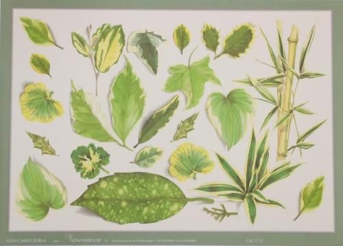 calambour デコパージュペーパー - 【Japan Art Paper】ペーパー