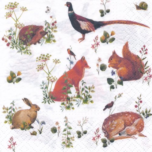 ڡѡʥץ33)paw5Wild Forest Animals-PW348