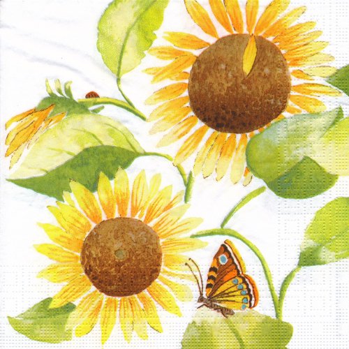 ペーパーナプキン（33)ppd：（5枚）Sunflowers-PP461