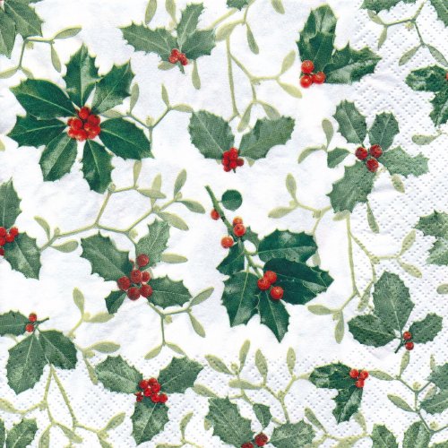 ڡѡʥץ33home5Ilex and Mistletoe-HO257